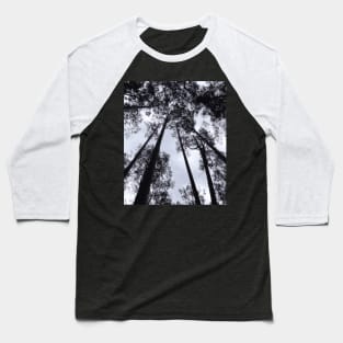 brown tall tree under sunny sky Baseball T-Shirt